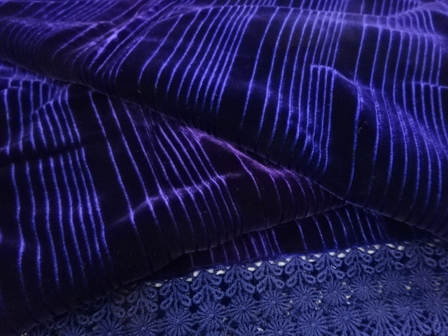  ビロードショール